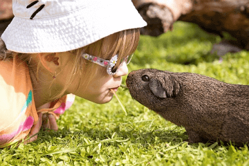 2023姓方女孩取名 姓方的叫什么名字