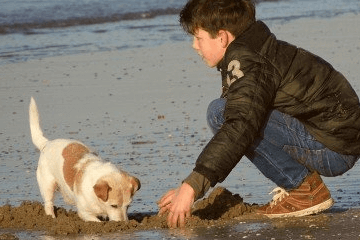 宝宝姓沈起名大全 沈姓男宝宝名字2023年名字大全